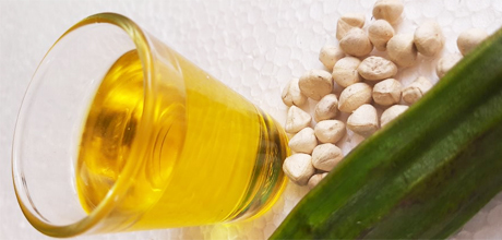 Cold-Pressed moringa Oil